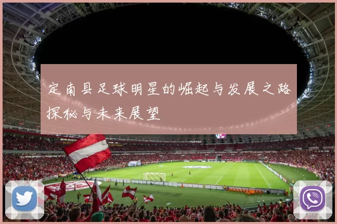 定南县足球明星的崛起与发展之路探秘与未来展望