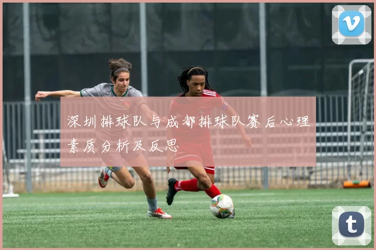 深圳排球队与成都排球队赛后心理素质分析及反思