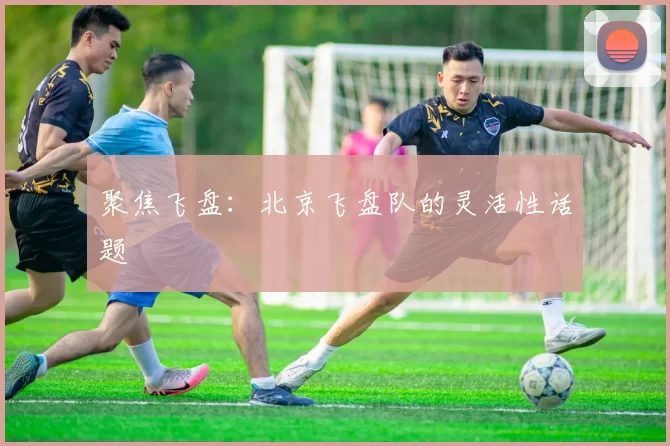 聚焦飞盘：北京飞盘队的灵活性话题