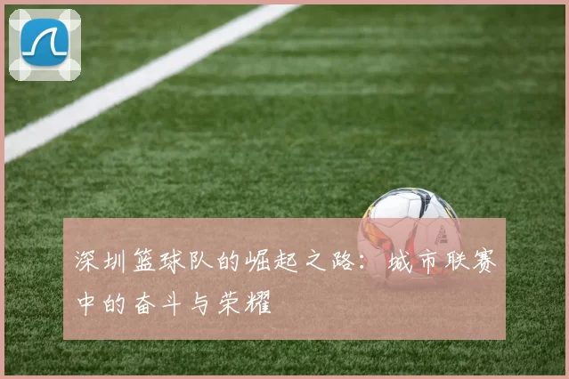 深圳篮球队的崛起之路：城市联赛中的奋斗与荣耀