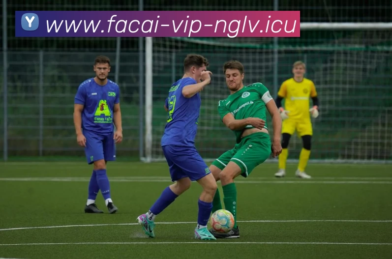 乐鱼体育发展历程